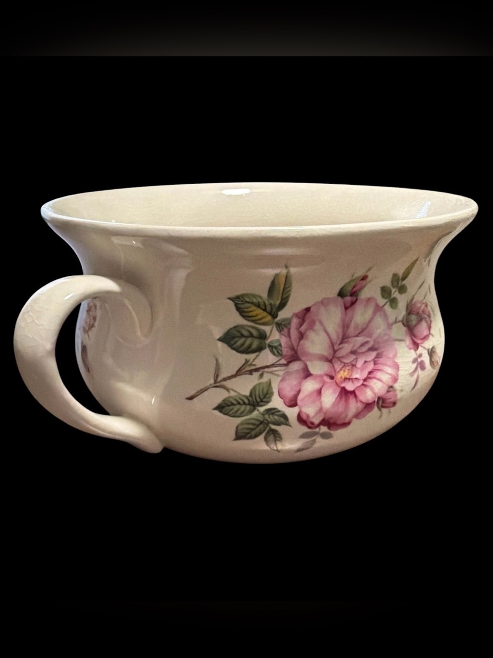 Vintage Portmeirion Botanic Garden Rose Chamber Pot Planter Cachepot